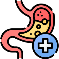 Supports Digestive Comfort