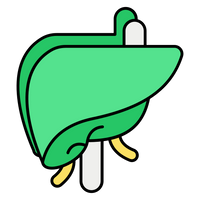 Supports Liver Function